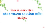 Bài 5 trang 46 Toán 12 tập 1 Cánh Diều